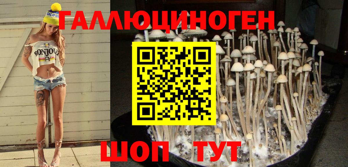 Псилоцибиновые грибы прущие грибы Тимашёвск