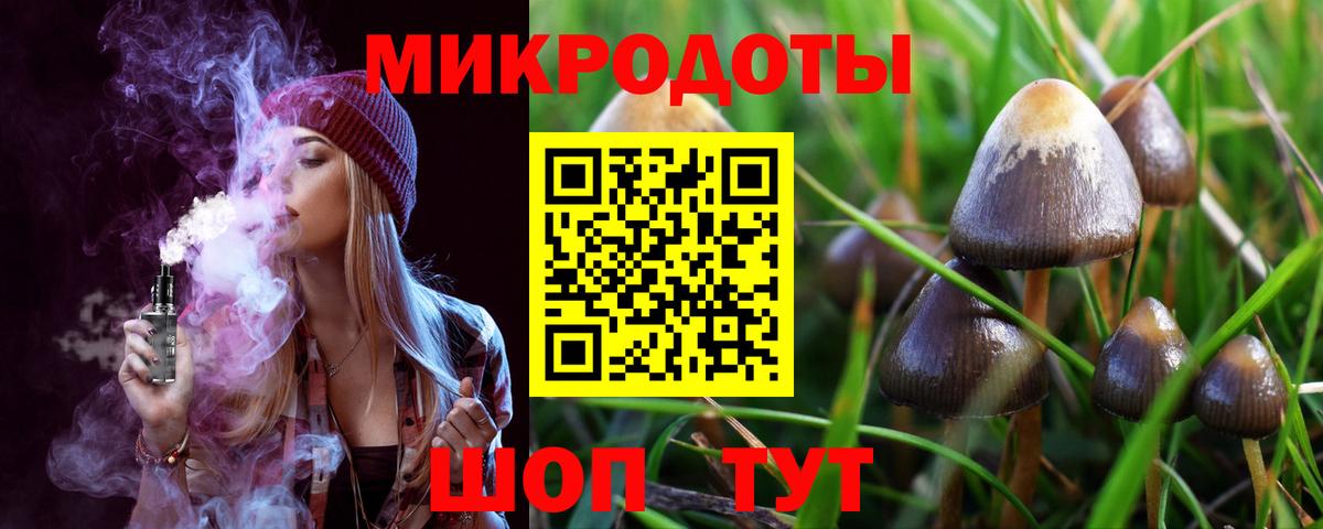 Тимашёвск  Псилоцибиновые грибы GOLDEN TEACHER  Вход с VPN 