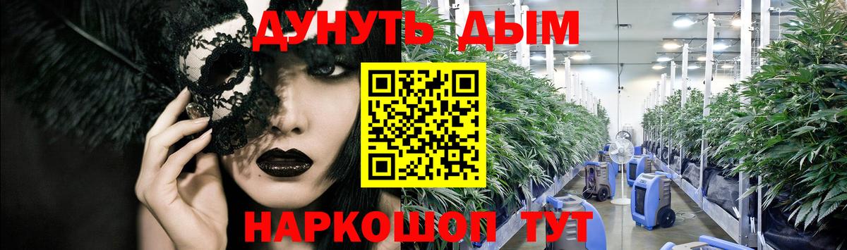 Шишки марихуана планчик Тимашёвск